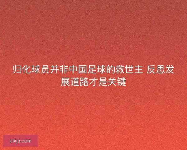 归化球员并非中国足球的救世主 反思发展道路才是关键