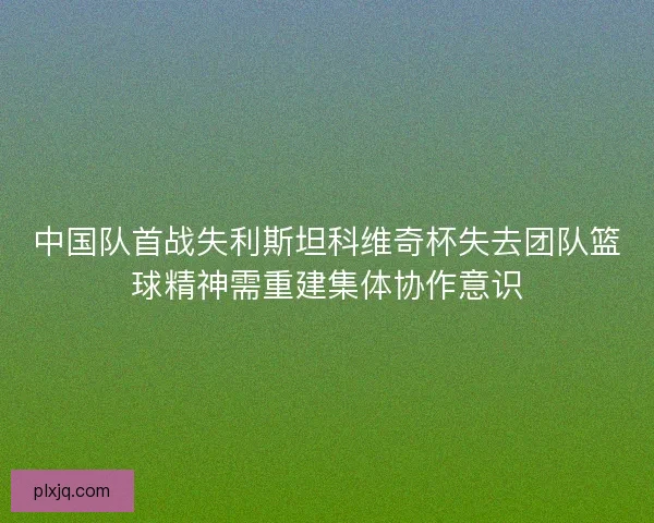 中国队首战失利斯坦科维奇杯失去团队篮球精神需重建集体协作意识