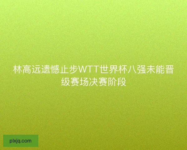 林高远遗憾止步WTT世界杯八强未能晋级赛场决赛阶段